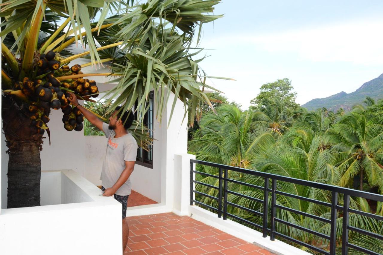 Claynest Resorts Kuttalam  Luaran gambar